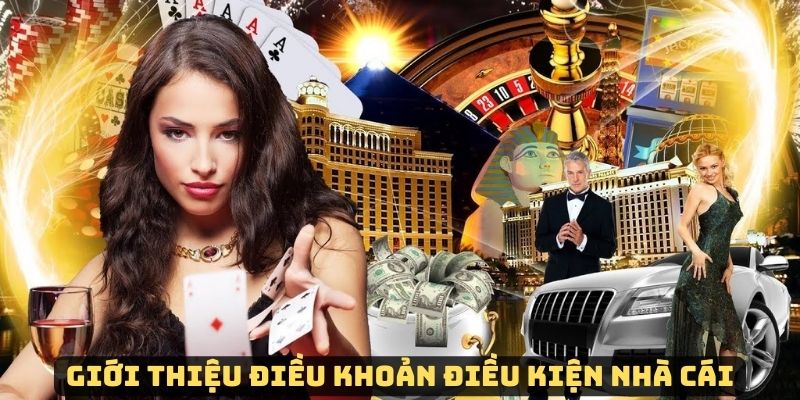 Hiểu về điều khoản và điều kiện Ko66